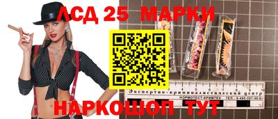 винт Будённовск