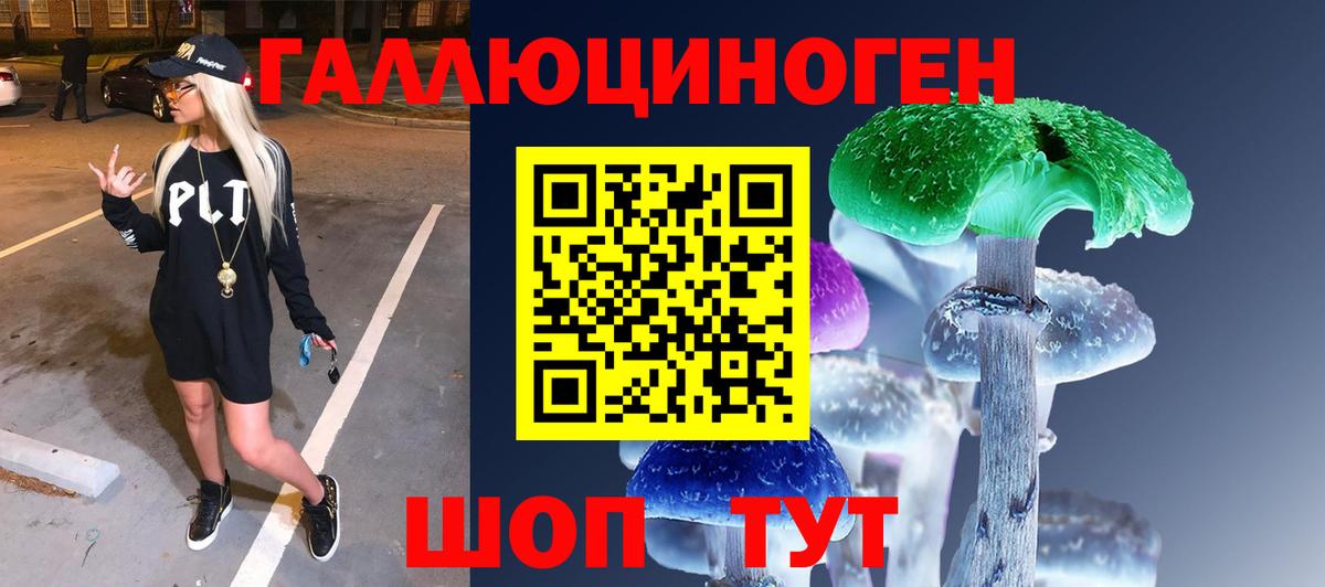 Галлюциногенные грибы MAGIC MUSHROOMS  Вход с VPN  Чусовой 