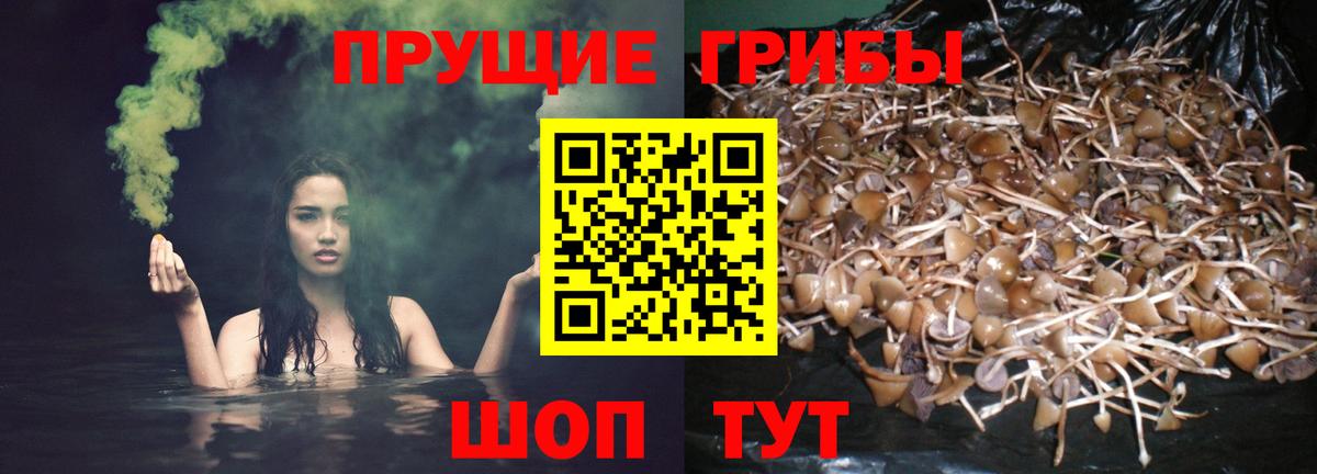 Галлюциногенные грибы ЛСД Чусовой
